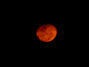 Sri Lankan Sceneries - Lunar Eclipse 2010