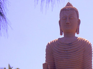 Sri Lankan Sceneries - Pereliya Buddha Statue