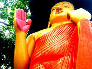 Sri Lankan Sceneries - Gaalu Maha Bodhiya
