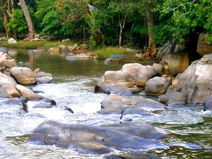 Sri Lankan Sceneries - Randenigala Reservoir