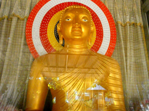 Sri Lankan Sceneries - Kalyana Dharma Asramaya Colombo