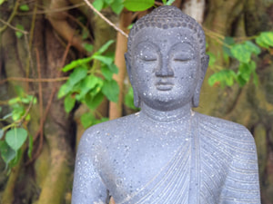 Sri Lankan Sceneries - Maligakanda Mahabodhi Agrasrawaka Viharaya