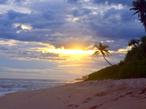 Sri Lankan Sceneries - Polhena Beach