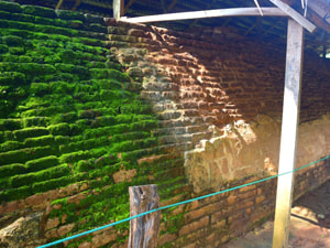 Sri Lankan Sceneries - Sigiriya - Main Wall
