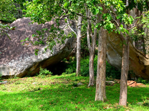 Sri Lankan Sceneries - Sixty Eight Caves