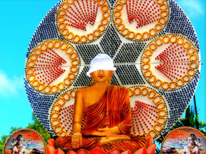 Sri Lankan Sceneries - Vesak Festival 2013